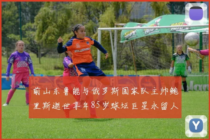 前山东鲁能与俄罗斯国家队主帅鲍里斯逝世享年85岁球坛巨星永留人间