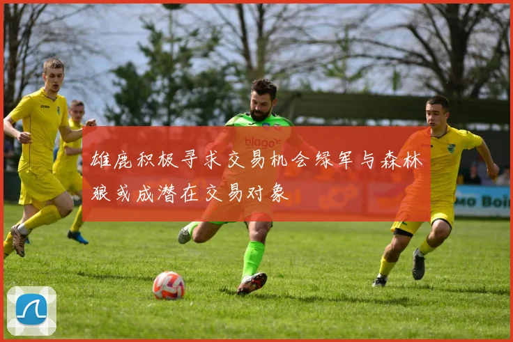 雄鹿积极寻求交易机会绿军与森林狼或成潜在交易对象